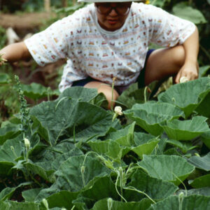 -好照片-MOFA109179CF-2020-12-SL00027-083