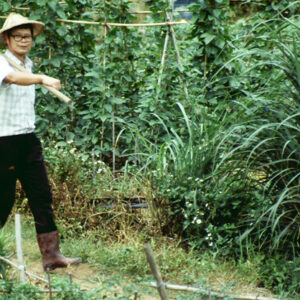 -好照片-MOFA109179CF-2020-12-SL00027-084