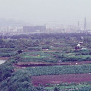 福和橋下-好照片-MOFA109179CF-2020-12-SL00027-115