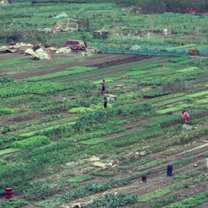 福和橋下-好照片-MOFA109179CF-2020-12-SL00027-117