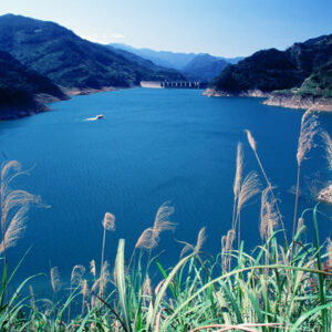 -好照片-MOFA109179CF-2020-12-SL00027-178