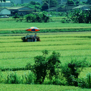 -好照片-MOFA109179CF-2020-12-SL00027-194