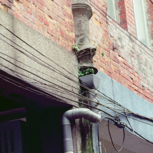 貴德街-好照片-MOFA109179CF-2020-12-SL00027-206