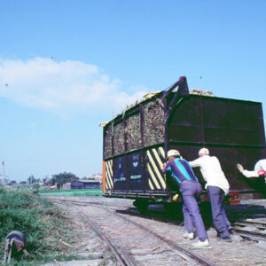 -農-農村、農作物。 漁-漁港、水產養殖. 牧-雞、鴨、牛、豬。-MOFA109179CF-2020-12-SL00028-026