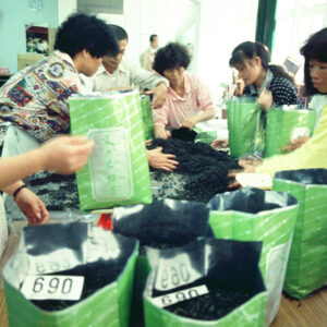 茶比賽-農-農村、農作物。 漁-漁港、水產養殖. 牧-雞、鴨、牛、豬。-MOFA109179CF-2020-12-SL00028-029