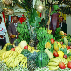 -農-農村、農作物。 漁-漁港、水產養殖. 牧-雞、鴨、牛、豬。-MOFA109179CF-2020-12-SL00028-031