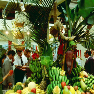 世貿農業食品展-農-農村、農作物。 漁-漁港、水產養殖. 牧-雞、鴨、牛、豬。-MOFA109179CF-2020-12-SL00028-032