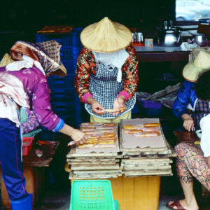 東港-農-農村、農作物。 漁-漁港、水產養殖. 牧-雞、鴨、牛、豬。-MOFA109179CF-2020-12-SL00028-037