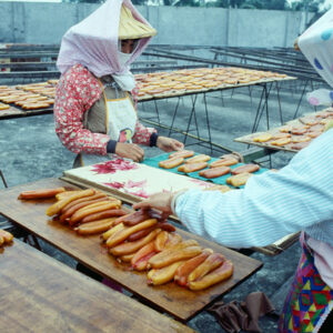 東港-農-農村、農作物。 漁-漁港、水產養殖. 牧-雞、鴨、牛、豬。-MOFA109179CF-2020-12-SL00028-040