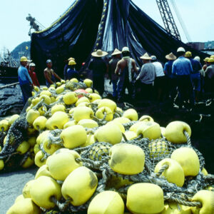 -農-農村、農作物。 漁-漁港、水產養殖. 牧-雞、鴨、牛、豬。-MOFA109179CF-2020-12-SL00028-055