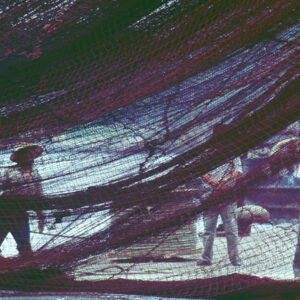 -農-農村、農作物。 漁-漁港、水產養殖. 牧-雞、鴨、牛、豬。-MOFA109179CF-2020-12-SL00028-056