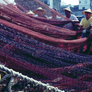 -農-農村、農作物。 漁-漁港、水產養殖. 牧-雞、鴨、牛、豬。-MOFA109179CF-2020-12-SL00028-057