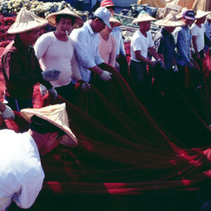 -農-農村、農作物。 漁-漁港、水產養殖. 牧-雞、鴨、牛、豬。-MOFA109179CF-2020-12-SL00028-058