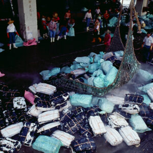 -農-農村、農作物。 漁-漁港、水產養殖. 牧-雞、鴨、牛、豬。-MOFA109179CF-2020-12-SL00028-071