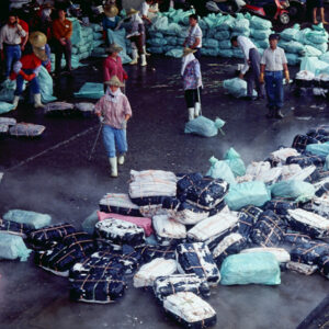 白帶魚-農-農村、農作物。 漁-漁港、水產養殖. 牧-雞、鴨、牛、豬。-MOFA109179CF-2020-12-SL00028-072