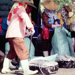 -農-農村、農作物。 漁-漁港、水產養殖. 牧-雞、鴨、牛、豬。-MOFA109179CF-2020-12-SL00028-073