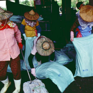 -農-農村、農作物。 漁-漁港、水產養殖. 牧-雞、鴨、牛、豬。-MOFA109179CF-2020-12-SL00028-074