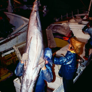 -農-農村、農作物。 漁-漁港、水產養殖. 牧-雞、鴨、牛、豬。-MOFA109179CF-2020-12-SL00028-075