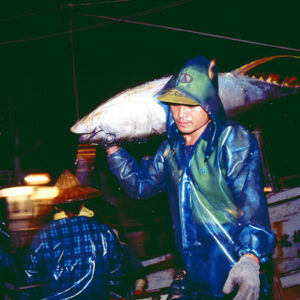 東港鮪魚-農-農村、農作物。 漁-漁港、水產養殖. 牧-雞、鴨、牛、豬。-MOFA109179CF-2020-12-SL00028-076
