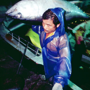 東港鮪魚-農-農村、農作物。 漁-漁港、水產養殖. 牧-雞、鴨、牛、豬。-MOFA109179CF-2020-12-SL00028-077