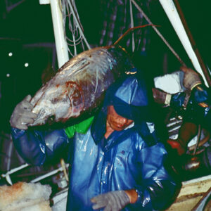 -農-農村、農作物。 漁-漁港、水產養殖. 牧-雞、鴨、牛、豬。-MOFA109179CF-2020-12-SL00028-078