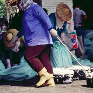 白帶魚-農-農村、農作物。 漁-漁港、水產養殖. 牧-雞、鴨、牛、豬。-MOFA109179CF-2020-12-SL00028-079