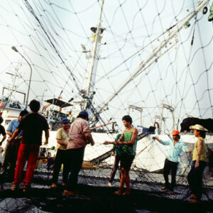 -農-農村、農作物。 漁-漁港、水產養殖. 牧-雞、鴨、牛、豬。-MOFA109179CF-2020-12-SL00028-082