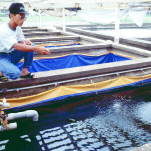 -農-農村、農作物。 漁-漁港、水產養殖. 牧-雞、鴨、牛、豬。-MOFA109179CF-2020-12-SL00028-086