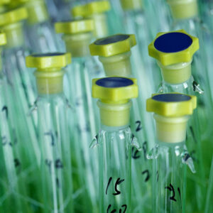 水質化驗之試管-農-農村、農作物。 漁-漁港、水產養殖. 牧-雞、鴨、牛、豬。-MOFA109179CF-2020-12-SL00028-089