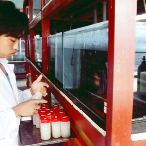 -農-農村、農作物。 漁-漁港、水產養殖. 牧-雞、鴨、牛、豬。-MOFA109179CF-2020-12-SL00028-092