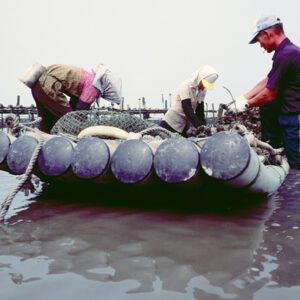 -農-農村、農作物。 漁-漁港、水產養殖. 牧-雞、鴨、牛、豬。-MOFA109179CF-2020-12-SL00028-110