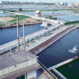 -農-農村、農作物。 漁-漁港、水產養殖. 牧-雞、鴨、牛、豬。-MOFA109179CF-2020-12-SL00028-114