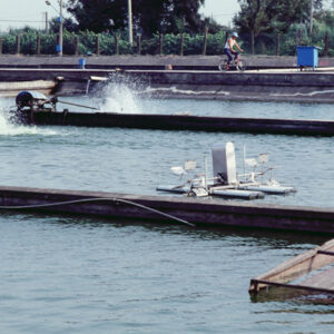 -農-農村、農作物。 漁-漁港、水產養殖. 牧-雞、鴨、牛、豬。-MOFA109179CF-2020-12-SL00028-116