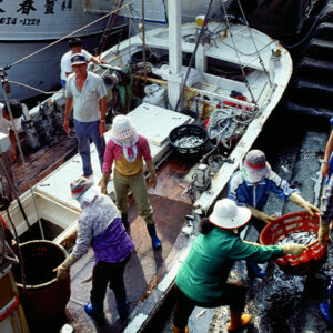 -農-農村、農作物。 漁-漁港、水產養殖. 牧-雞、鴨、牛、豬。-MOFA109179CF-2020-12-SL00028-128