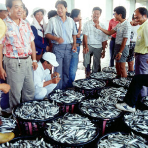 -農-農村、農作物。 漁-漁港、水產養殖. 牧-雞、鴨、牛、豬。-MOFA109179CF-2020-12-SL00028-137