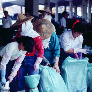 -農-農村、農作物。 漁-漁港、水產養殖. 牧-雞、鴨、牛、豬。-MOFA109179CF-2020-12-SL00028-146