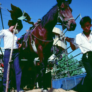 -農-農村、農作物。 漁-漁港、水產養殖. 牧-雞、鴨、牛、豬。-MOFA109179CF-2020-12-SL00028-158