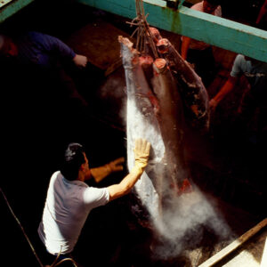 -經濟 農漁牧。 工商展示。 金融股市。 兩岸經貿。 服務業。-MOFA109179CF-2020-12-SL00029-001