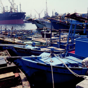 經濟 農漁牧。 工商展示。 金融股市。 兩岸經貿。 服務業。-MOFA109179CF-2020-12-SL00029-002