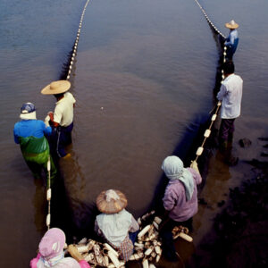 澎湖-抓黃錫鯛-經濟 農漁牧。 工商展示。 金融股市。 兩岸經貿。 服務業。-MOFA109179CF-2020-12-SL00029-006