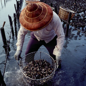 -經濟 農漁牧。 工商展示。 金融股市。 兩岸經貿。 服務業。-MOFA109179CF-2020-12-SL00029-009