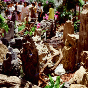 -經濟 農漁牧。 工商展示。 金融股市。 兩岸經貿。 服務業。-MOFA109179CF-2020-12-SL00029-044