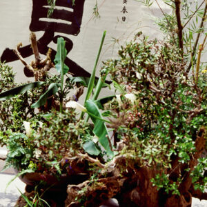 -經濟 農漁牧。 工商展示。 金融股市。 兩岸經貿。 服務業。-MOFA109179CF-2020-12-SL00029-050