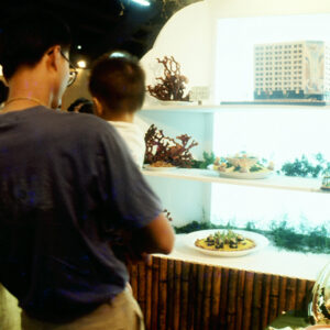 -經濟 農漁牧。 工商展示。 金融股市。 兩岸經貿。 服務業。-MOFA109179CF-2020-12-SL00029-137