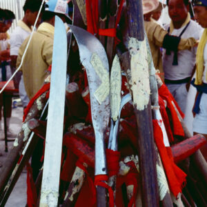 陣頭-MOFA109179CF-2020-12-SL00030-047