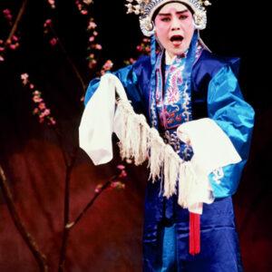 -藝術 布袋戲、魁儡戲、皮影戲。 歌仔戲。 國劇、粵劇。-MOFA109179CF-2020-12-SL00032-044