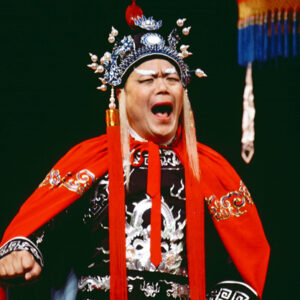 -藝術 布袋戲、魁儡戲、皮影戲。 歌仔戲。 國劇、粵劇。-MOFA109179CF-2020-12-SL00032-054