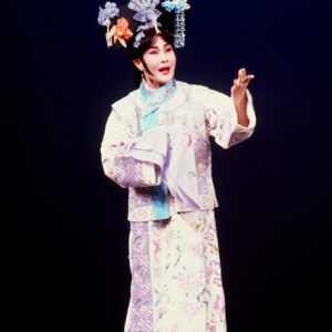 -藝術 布袋戲、魁儡戲、皮影戲。 歌仔戲。 國劇、粵劇。-MOFA109179CF-2020-12-SL00032-096