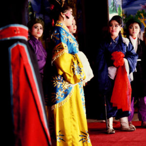 新和興-歌仔戲-MOFA109179CF-2020-12-SL00032-245