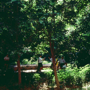 校景-教育-MOFA109179CF-2020-12-SL00034-012